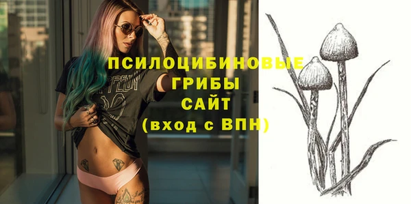 хмурый Армянск