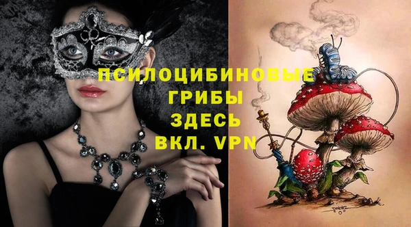 гидропоника Арсеньев