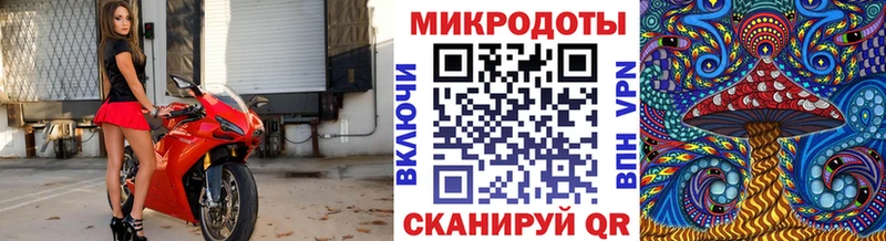как найти наркотики  Северобайкальск  Галлюциногенные грибы мухоморы 